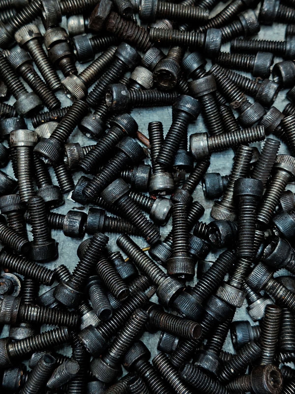 Cheese Head Screws
